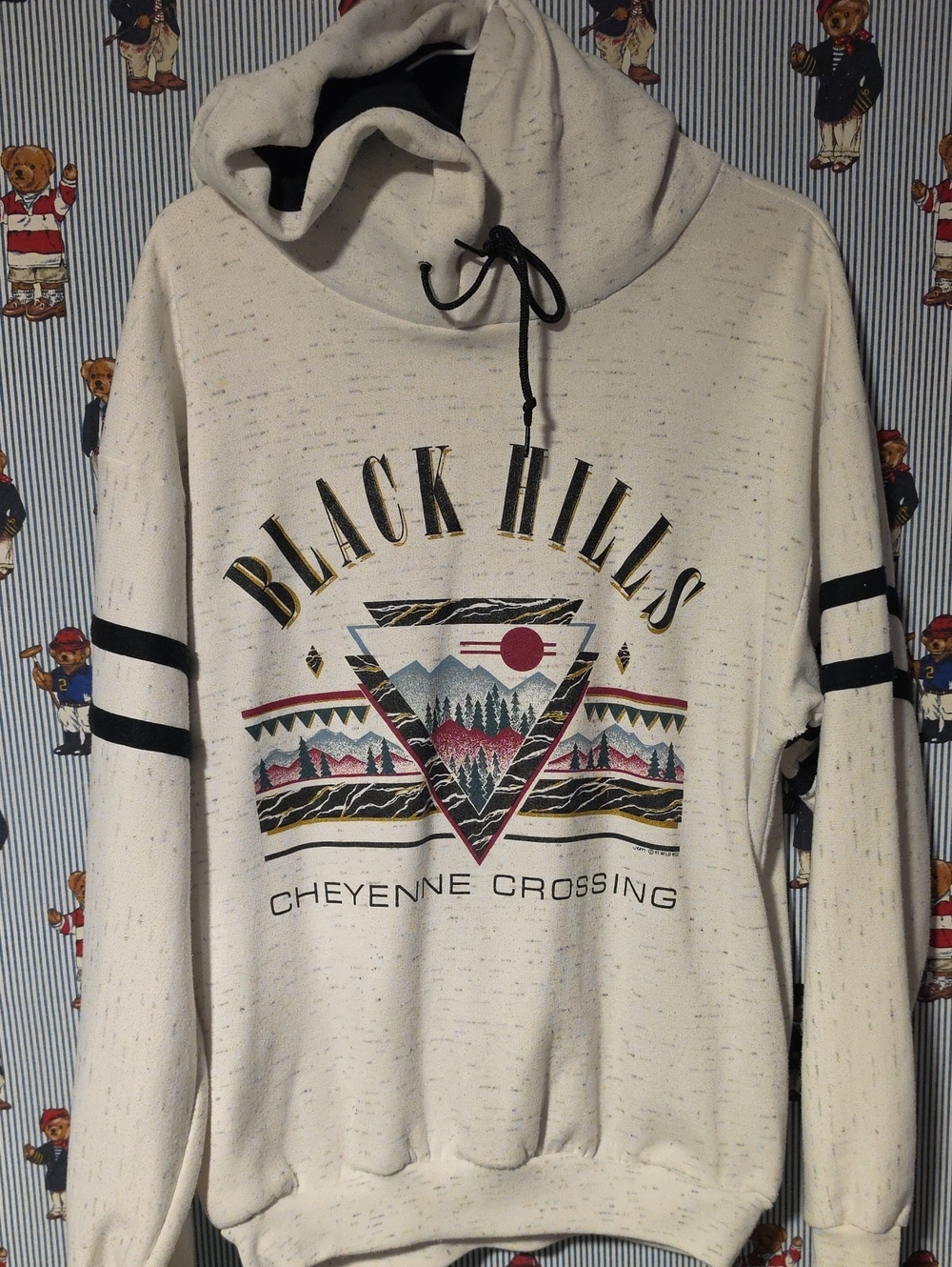 Vintage 90s "Black Hills Cheyenne Crossing" hoodie South Dakota